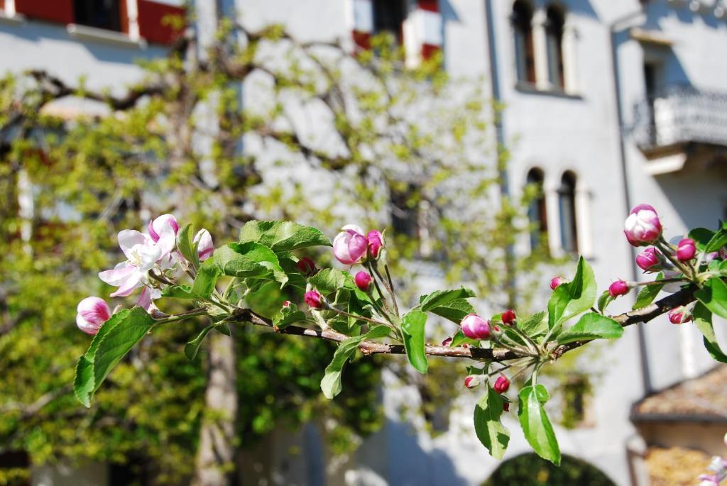 Apartments Schloss Paschbach Appiano Sulla Strada Del Vino Exterior foto
